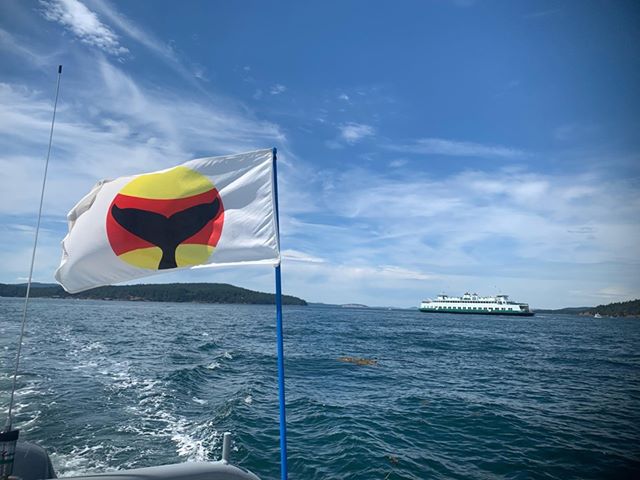 Soundwatch-Flag_june2019 Whale Warning Flag w/ Ferry in Background